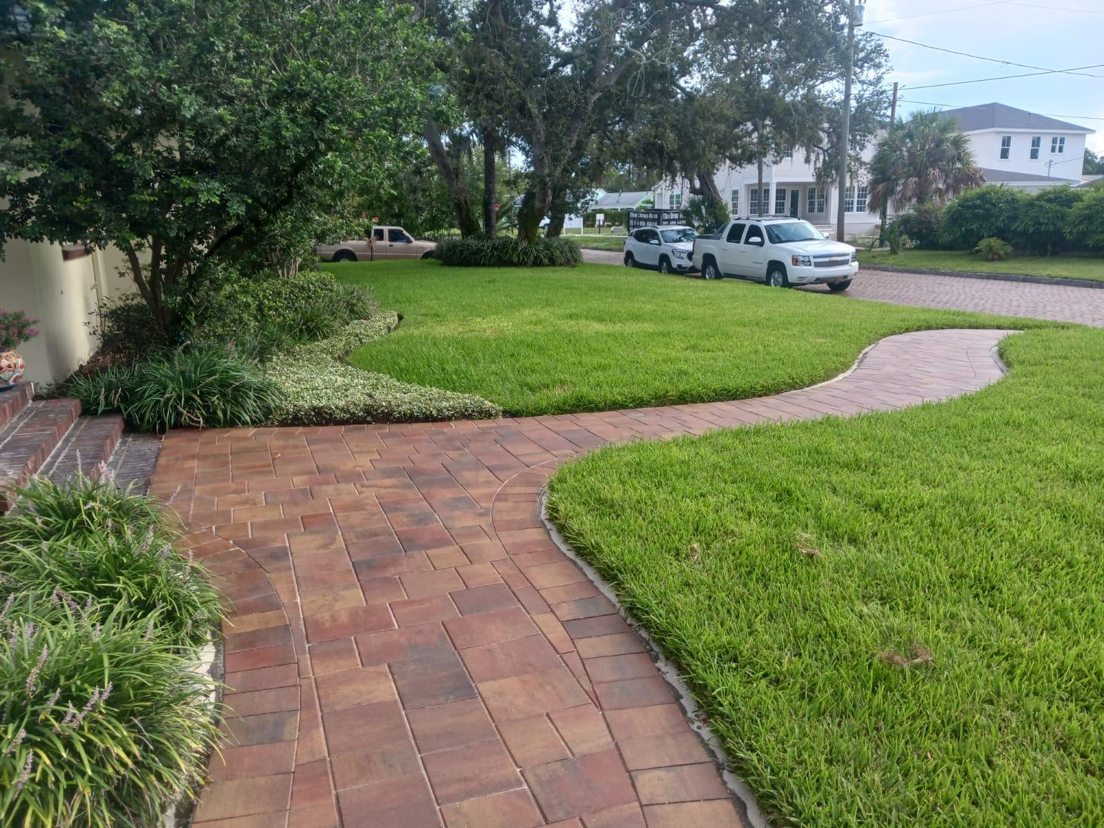 Designer Outdoor Pattern